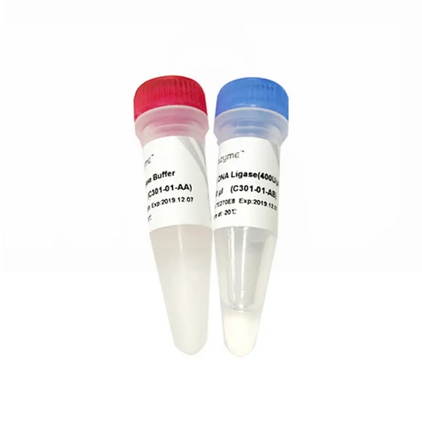 Vazyme T4 DNA Ligase (C301-01)