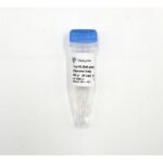 Vazyme Taq HS DNA Polymerase (Glycerol-free) (QL101)