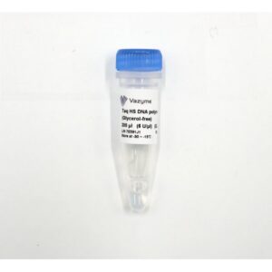 Vazyme Taq HS DNA Polymerase (Glycerol-free) (QL101)