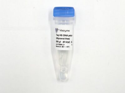 Vazyme Taq HS DNA Polymerase (Glycerol-free) (QL101)