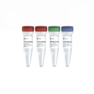 Vazyme Taq HS DNA Polymerase (P132)