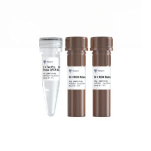 Vazyme Taq Pro Multiple Probe qPCR Mix (QN213-EN)