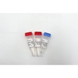 Vazyme Taq Pro Multiplex DNA Polymerase (High specificity) (PM202)