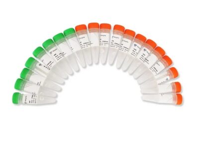Vazyme TruePrep Index Kit V2 for Illumina (TD202)