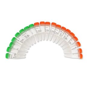 Vazyme TruePrepTM Index Kit V3 for Illumina (TD203)