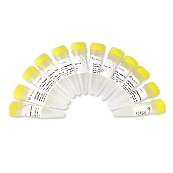 Vazyme VAHTS AmpSeq Adapters for Illumina (NA111) Vazyme VAHTS AmpSeq Adapters for Illumina (NA111)