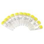 Vazyme VAHTS AmpSeq Adapters for Ion Torrent (NA121)