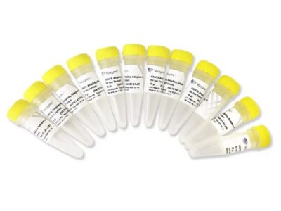 Vazyme VAHTS AmpSeq Adapters for Ion Torrent (NA121)