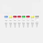 Vazyme VAHTS AmpSeq Library Prep Kit V3 (NA210)