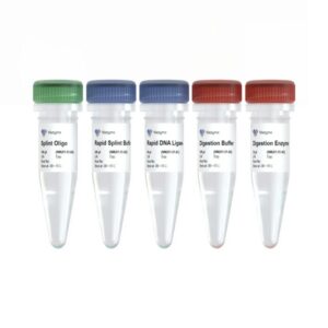 Vazyme VAHTS Circularization Kit for MGI (NM201)