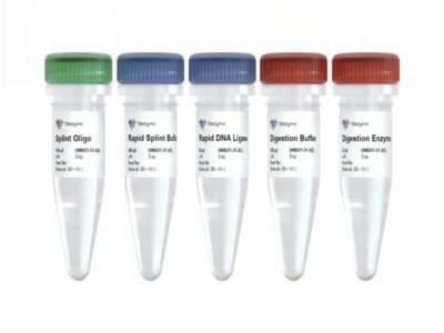 Vazyme VAHTS Circularization Kit for MGI (NM201)