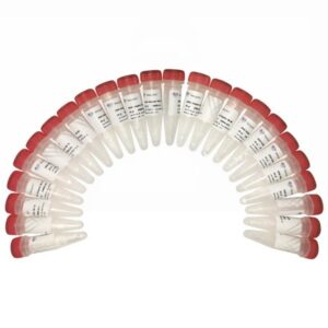 Vazyme VAHTS DNA Adapters Set 3 – Set 6 for Illumina (N805-N808)