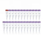 Vazyme VAHTS Dual UMI UDB Adapters Set 1-8 for MGI (NM35101-NM35108)