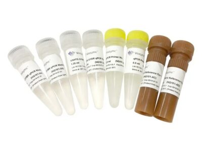 Vazyme VAHTS Library Quantification Kit for IIIumina DNA Standard 1-6 (NQ105)