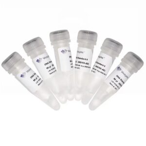 NQ105:VAHTS Library Quantification Kit for IIIumina DNA Standard 1-6
