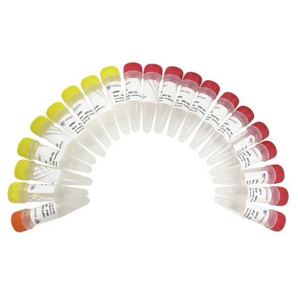 Vazyme VAHTS Multiplex Oligos Set 4/5 for Illumina (N321-N322) Vazyme VAHTS Multiplex Oligos Set 4/5 for Illumina (N321-N322)