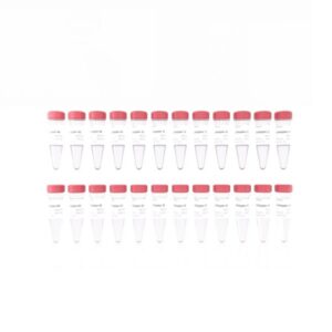 Vazyme VAHTS PCR-Free DNA Adapters for MGI (NM10902)
