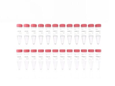 Vazyme VAHTS PCR-Free DNA Adapters for MGI (NM10903)