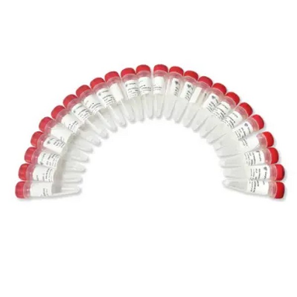 Vazyme VAHTS RNA Adapters set8 for MGI (NM208) Vazyme VAHTS RNA Adapters set8 for MGI (NM208)