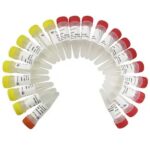 Vazyme VAHTS RNA Multiplex Oligos set 1 for Illumina (N323-N324)