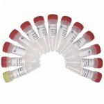 Vazyme VAHTS Small RNA Index Primer Kit for Illumina (N813-N816)