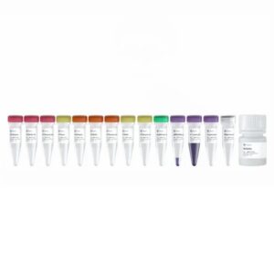 Vazyme VAHTS Small RNA Library Prep Kit for Illumina V2 (NR811)