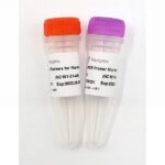 Vazyme VAHTS Target Capture Universal Blockers and Post-PCR Primer Mix for Illumina-TS (NC101)