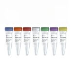 Vazyme VAHTS Universal DNA Library Prep Kit for Illumina V4 (ND610)