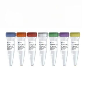 Vazyme VAHTS Universal DNA Library Prep Kit for Illumina V4 (ND610)