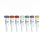 ND610:VAHTS Universal DNA Library Prep Kit for Illumina V4