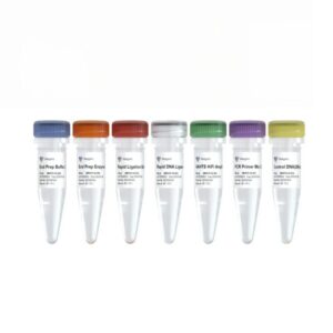 ND610:VAHTS Universal DNA Library Prep Kit for Illumina V4