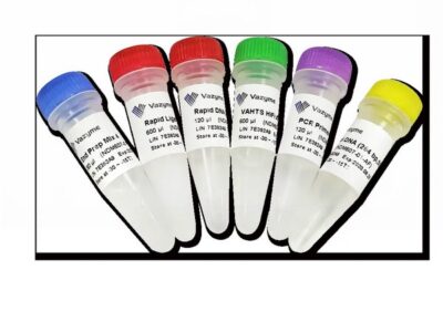 Vazyme VAHTS Universal DNA Library Prep Kit for MGI (NDM607)