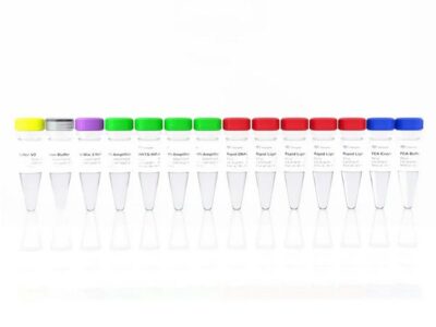 Vazyme VAHTS Universal Plus DNA Library Prep Kit for Illumina V2 (ND627)