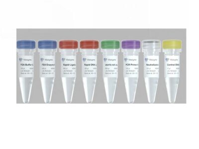 Vazyme VAHTS Universal Plus DNA Library Prep Kit for MGI V2 (NDM627)