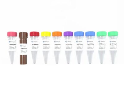 Vazyme VAHTS Universal V8 RNA-seq Library Prep Kit for MGI (NRM605)