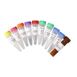 NRM605:VAHTS Universal V8 RNA-seq Library Prep Kit for MGI