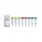 Vazyme VAHTS ssDNA Library Prep Kit for Illumina (ND620)