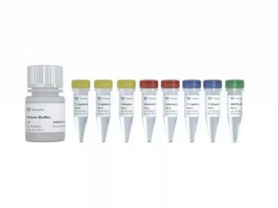 Vazyme VAHTS ssDNA Library Prep Kit for Illumina (ND620)