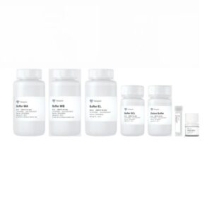Vazyme VAMNE MagUltra Blood Genomic DNA Extraction Kit (DM101)