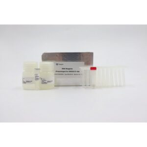Vazyme VAMNE Magnetic Pathogen DNA Kit (Prepackaged) (DM202-01)