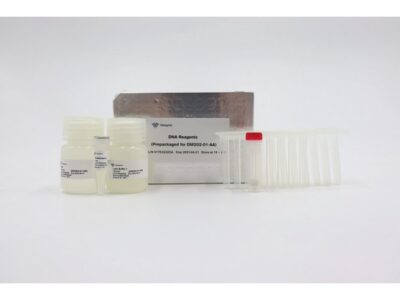 Vazyme VAMNE Magnetic Pathogen DNA Kit (Prepackaged) (DM202-01)