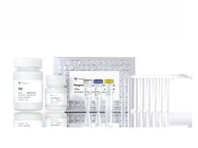 Vazyme VAMNE Magnetic Pathogen DNA/RNA Kit (Prepackaged) (RM602-01)