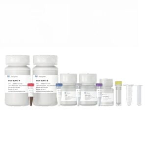 Vazyme VAMNE Magnetic Pathogen DNA/RNA Kit (RM601-01)
