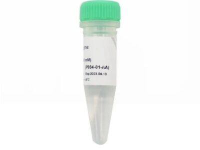 Vazyme dATP (100 mM) (P034-01)