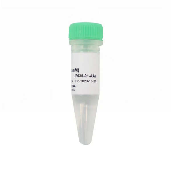 Vazyme dCTP (100 mM) (P036-01)