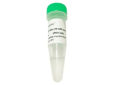 Vazyme dNTP Mix (10 mM each) (P031)