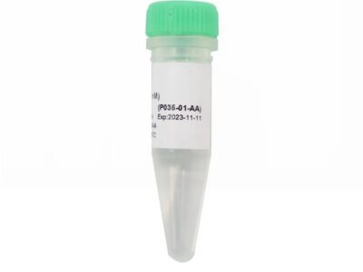 Vazyme dTTP (100 mM) (P035-01)