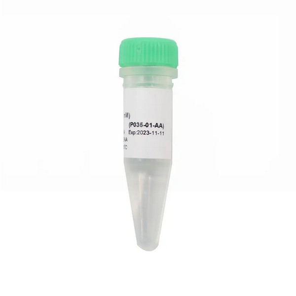 Vazyme dTTP (100 mM) (P035-01) Vazyme dTTP (100 mM) (P035-01)