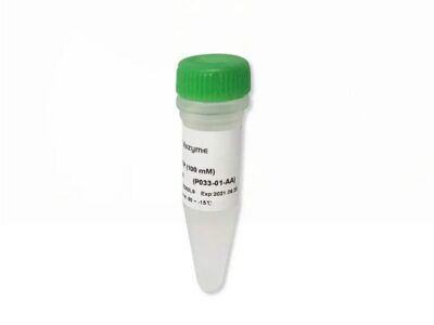 Vazyme dUTP (100 mM) (P033-01)
