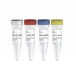 Vazyme miRNA 1st Strand cDNA Synthesis Kit (by tailing A) (MR201)